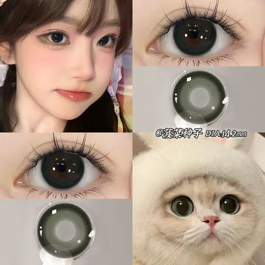 Let me introduce you to this product today🌱 This pair of contact lenses is really pretty👀 Spinach seeds